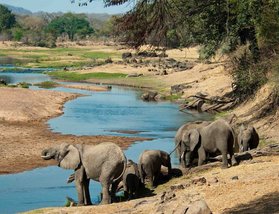 Kichaka Expeditions