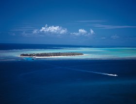 Heron Island - Great Barrier Reef