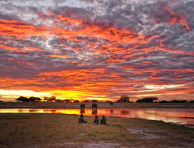 Somalisa Camp, Zimbabwe