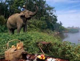Four Seasons Tented Camp - Golden Triangle