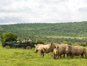 Kwandwe Great Fish River Lodge 