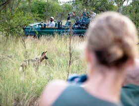 Singita Ebony Lodge