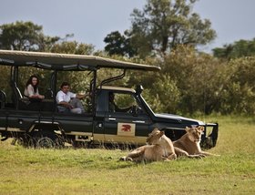 Elephant Pepper Camp