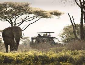 &Beyond Serengeti Under Canvas