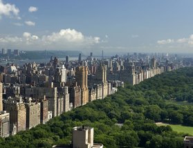 The London NYC