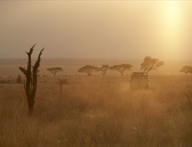 Olivers Camp - Tarangire