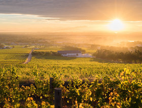 Steenberg Hotel - Constantia